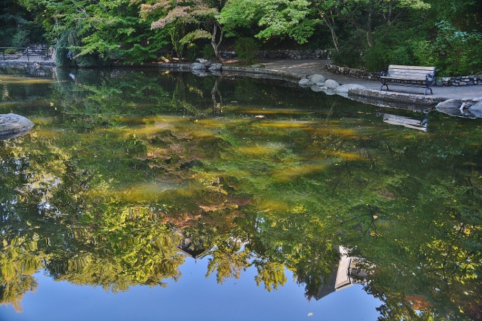 Lithia Park